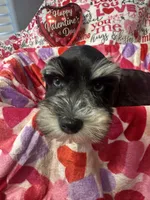 processed/23dfc5cc-acdf-4aeb-b529-e038afc8c141/listing/afb54725-21ac-4338-82fe-d27802728f84/7524151d-07cb-4cdd-82b1-e8651865740d