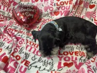 processed/23dfc5cc-acdf-4aeb-b529-e038afc8c141/listing/afb54725-21ac-4338-82fe-d27802728f84/7ad9b7ed-c746-4469-a6f0-4844c7e08757