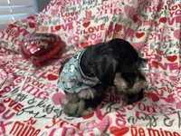 processed/23dfc5cc-acdf-4aeb-b529-e038afc8c141/listing/afb54725-21ac-4338-82fe-d27802728f84/8e8ee350-a2e5-4b6d-a5ca-c167d4e0567b