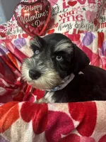 processed/23dfc5cc-acdf-4aeb-b529-e038afc8c141/listing/afb54725-21ac-4338-82fe-d27802728f84/f9c01185-2b90-4525-a50f-98efbee8e208