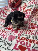 processed/23dfc5cc-acdf-4aeb-b529-e038afc8c141/listing/f01fc58d-64ba-4f46-9abf-9ba7bf19775e/4dba1746-3b7e-46cc-b615-6848d486e6e1