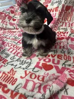 processed/23dfc5cc-acdf-4aeb-b529-e038afc8c141/listing/f01fc58d-64ba-4f46-9abf-9ba7bf19775e/71f43492-4eb9-4e1e-8d8a-c1ca17bf2a01