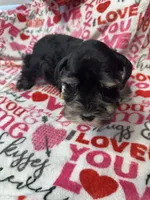 processed/23dfc5cc-acdf-4aeb-b529-e038afc8c141/listing/f01fc58d-64ba-4f46-9abf-9ba7bf19775e/a5a19844-4b12-495c-8c48-3d889e563f14