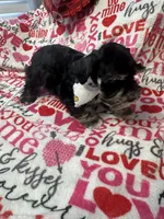 processed/23dfc5cc-acdf-4aeb-b529-e038afc8c141/listing/f01fc58d-64ba-4f46-9abf-9ba7bf19775e/bd07f996-38ae-4bee-b568-75857d2d2c0b