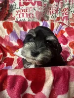 processed/23dfc5cc-acdf-4aeb-b529-e038afc8c141/listing/f01fc58d-64ba-4f46-9abf-9ba7bf19775e/bd296dae-7034-474a-8c78-1206404411be