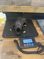 processed/23e1bcad-3622-453e-a595-0ec1f96c4b84/listing/2a31a3c3-7658-4bae-86ee-16b65653cc49/453e45d9-7b50-414a-a39f-6414cc009688