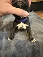 processed/23e1bcad-3622-453e-a595-0ec1f96c4b84/listing/2a31a3c3-7658-4bae-86ee-16b65653cc49/847231d2-956b-43f9-acf5-4e09c4736b9b