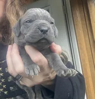 processed/23e1bcad-3622-453e-a595-0ec1f96c4b84/listing/2dcc4cde-5d83-4eb0-9bb3-f41351b84048/1828b476-98f4-4fe7-811c-b07f35232fed