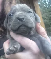 processed/23e1bcad-3622-453e-a595-0ec1f96c4b84/listing/2dcc4cde-5d83-4eb0-9bb3-f41351b84048/1ab2fafc-b0d8-487f-9697-c400a03f17af