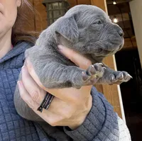 processed/23e1bcad-3622-453e-a595-0ec1f96c4b84/listing/2dcc4cde-5d83-4eb0-9bb3-f41351b84048/37a77b0f-e745-4321-988a-dc85e17616ec