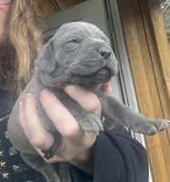 processed/23e1bcad-3622-453e-a595-0ec1f96c4b84/listing/2dcc4cde-5d83-4eb0-9bb3-f41351b84048/5531346c-7cdf-4e56-bfa4-fddca685416a