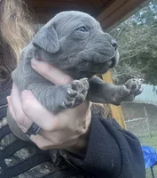 processed/23e1bcad-3622-453e-a595-0ec1f96c4b84/listing/2dcc4cde-5d83-4eb0-9bb3-f41351b84048/64517ef9-3f11-47a5-87eb-e73734f7edf6