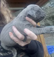 processed/23e1bcad-3622-453e-a595-0ec1f96c4b84/listing/2dcc4cde-5d83-4eb0-9bb3-f41351b84048/9263945a-5ee9-4a4e-9d4f-0e844fc0badd