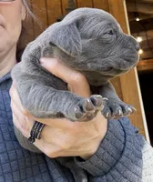 processed/23e1bcad-3622-453e-a595-0ec1f96c4b84/listing/2dcc4cde-5d83-4eb0-9bb3-f41351b84048/dfa2b156-d7a2-47c0-8044-9e6e23c67316