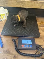 processed/23e1bcad-3622-453e-a595-0ec1f96c4b84/listing/323ad2fd-d1b5-4faf-803f-71c9b1ce4e68/50aaca26-7b4d-4b76-9783-6da3c08cff5c