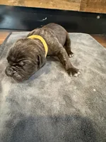 processed/23e1bcad-3622-453e-a595-0ec1f96c4b84/listing/323ad2fd-d1b5-4faf-803f-71c9b1ce4e68/fde3f6f6-460d-485f-9ff5-c63a38d89386