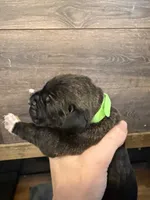 processed/23e1bcad-3622-453e-a595-0ec1f96c4b84/listing/327310f5-bc4d-4400-9f70-a40804a01db9/65f73547-79fb-4500-a0c8-a2a145a2ee2e