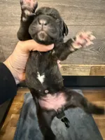 processed/23e1bcad-3622-453e-a595-0ec1f96c4b84/listing/327310f5-bc4d-4400-9f70-a40804a01db9/6999fbf2-7279-49d5-af08-60e7ccad2933