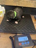 processed/23e1bcad-3622-453e-a595-0ec1f96c4b84/listing/327310f5-bc4d-4400-9f70-a40804a01db9/c07cf831-e96a-4b90-8890-13346b6b9ce0