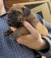 processed/23e1bcad-3622-453e-a595-0ec1f96c4b84/listing/4de52bb2-076c-40f3-be97-a88ab7882218/679de99f-c451-453a-aa8c-5955f1bab587