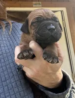 processed/23e1bcad-3622-453e-a595-0ec1f96c4b84/listing/4de52bb2-076c-40f3-be97-a88ab7882218/891331c1-2048-44ab-8a32-53f67f37d9f5