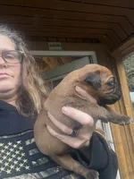 processed/23e1bcad-3622-453e-a595-0ec1f96c4b84/listing/4de52bb2-076c-40f3-be97-a88ab7882218/8ec30def-29b5-4bba-b488-e1eb73d6185b