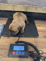 processed/23e1bcad-3622-453e-a595-0ec1f96c4b84/listing/4de52bb2-076c-40f3-be97-a88ab7882218/90c20789-5021-4017-b4a7-7e72867d93d4