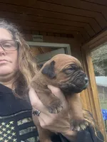 processed/23e1bcad-3622-453e-a595-0ec1f96c4b84/listing/4de52bb2-076c-40f3-be97-a88ab7882218/be6f33ec-d797-4e70-9d46-e409b47bf4ab