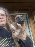 processed/23e1bcad-3622-453e-a595-0ec1f96c4b84/listing/4de52bb2-076c-40f3-be97-a88ab7882218/f59480fb-f889-4286-b54f-822977604524