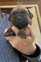 processed/23e1bcad-3622-453e-a595-0ec1f96c4b84/listing/4de52bb2-076c-40f3-be97-a88ab7882218/fc4b5c51-4202-4026-80e0-14deaa176a14