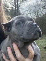 processed/23e1bcad-3622-453e-a595-0ec1f96c4b84/listing/4e0d4931-88e0-4944-8311-a24b610635fb/05f03165-a3b5-45df-9469-79d6bc243aa4