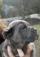 processed/23e1bcad-3622-453e-a595-0ec1f96c4b84/listing/4e0d4931-88e0-4944-8311-a24b610635fb/22bb1037-2626-4a74-869a-7ffa455f22f1