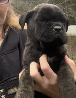 processed/23e1bcad-3622-453e-a595-0ec1f96c4b84/listing/55dbd4cb-406c-4771-b9f3-24dd85ad3da1/2a52c671-e744-4680-bb73-1d2a92599421