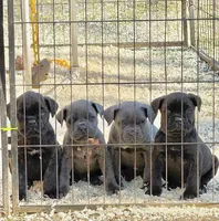 processed/23e1bcad-3622-453e-a595-0ec1f96c4b84/listing/55dbd4cb-406c-4771-b9f3-24dd85ad3da1/45078b4f-3559-4dba-a376-c3019d47b5a9