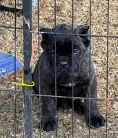 processed/23e1bcad-3622-453e-a595-0ec1f96c4b84/listing/55dbd4cb-406c-4771-b9f3-24dd85ad3da1/b4570460-2f01-4899-a390-1402e4cb8a41