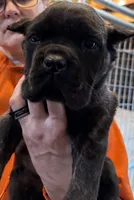 processed/23e1bcad-3622-453e-a595-0ec1f96c4b84/listing/55dbd4cb-406c-4771-b9f3-24dd85ad3da1/e86b0714-f2b4-42eb-8a9b-2ee0091b1a6d