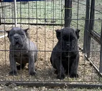 processed/23e1bcad-3622-453e-a595-0ec1f96c4b84/listing/55dbd4cb-406c-4771-b9f3-24dd85ad3da1/f012aa74-5bdb-4906-a403-26dcaac009d3