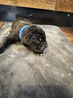 processed/23e1bcad-3622-453e-a595-0ec1f96c4b84/listing/5720efa8-7577-4c23-8d61-b47efd48c53c/1dec8d0e-b037-466a-a08c-f47a62975b3f