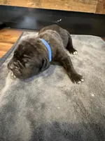 processed/23e1bcad-3622-453e-a595-0ec1f96c4b84/listing/5720efa8-7577-4c23-8d61-b47efd48c53c/36a621cd-cad9-4599-93d6-6eb11a6f2ac9