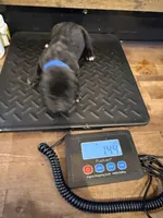 processed/23e1bcad-3622-453e-a595-0ec1f96c4b84/listing/5720efa8-7577-4c23-8d61-b47efd48c53c/c02e5a69-e62a-4859-859f-5ce8cde7a526