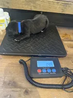 processed/23e1bcad-3622-453e-a595-0ec1f96c4b84/listing/5720efa8-7577-4c23-8d61-b47efd48c53c/c92a839c-6492-4d4e-b833-a9b079cadee3