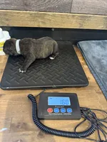 processed/23e1bcad-3622-453e-a595-0ec1f96c4b84/listing/5a34b769-4534-4d74-8f7c-a5c07cac6423/08c91480-b67d-4aac-8a1b-d59d9c3dcbb0