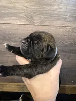 processed/23e1bcad-3622-453e-a595-0ec1f96c4b84/listing/5a34b769-4534-4d74-8f7c-a5c07cac6423/42be2b9a-3fd8-4d1c-983c-595d3cfa2d92