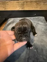 processed/23e1bcad-3622-453e-a595-0ec1f96c4b84/listing/5a34b769-4534-4d74-8f7c-a5c07cac6423/43660509-97b1-46ba-bc9e-9370576c47ab