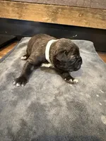 processed/23e1bcad-3622-453e-a595-0ec1f96c4b84/listing/5a34b769-4534-4d74-8f7c-a5c07cac6423/c8eed7d9-a2dc-4196-9e46-978e87b93531