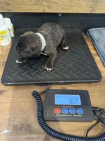 processed/23e1bcad-3622-453e-a595-0ec1f96c4b84/listing/5a34b769-4534-4d74-8f7c-a5c07cac6423/e362bb6f-2376-4d0f-9804-4c0b16efac7d