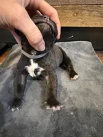 processed/23e1bcad-3622-453e-a595-0ec1f96c4b84/listing/5a34b769-4534-4d74-8f7c-a5c07cac6423/f3f0f620-4816-496e-a280-7c1912a2e0b1