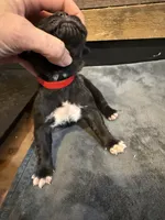 processed/23e1bcad-3622-453e-a595-0ec1f96c4b84/listing/6e50f1d5-d2f4-44a8-a9ff-1d061177d219/225c7249-55c2-4897-95ab-abc1fbfe32f5