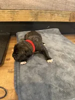 processed/23e1bcad-3622-453e-a595-0ec1f96c4b84/listing/6e50f1d5-d2f4-44a8-a9ff-1d061177d219/392bb5bc-fda5-421a-87e1-954be06ae840