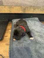 processed/23e1bcad-3622-453e-a595-0ec1f96c4b84/listing/6e50f1d5-d2f4-44a8-a9ff-1d061177d219/ed573512-c31d-447a-a197-3995cf8c61ef